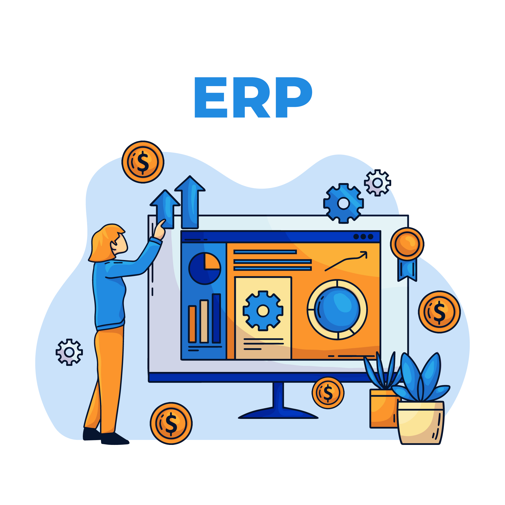 ERP Consulting